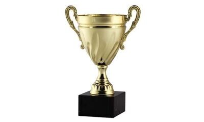 Solid Metal Cup Trophy on Solid Marble Base: 11"-101907