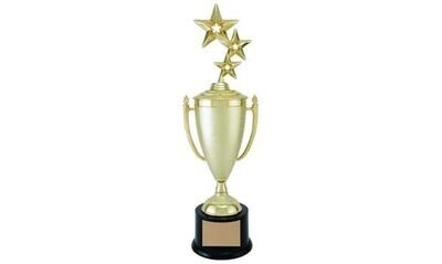 Stipple Value Cup Trophy: 14-3/4"-102004