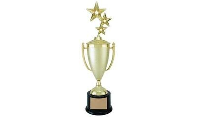 Stipple Value Cup Trophy: 11-1/2"-102624