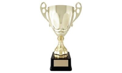 Strattura Series Gold Cup Trophy: 15-7/8"-107043