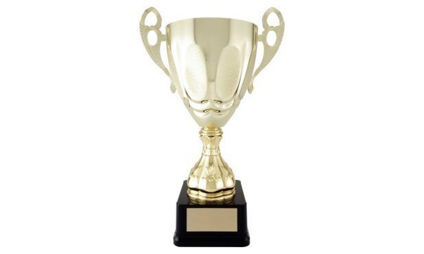 Strattura Series Gold Cup Trophy: 13"-107041