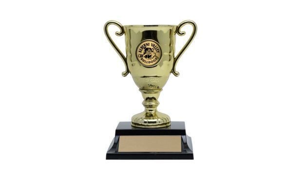 Gold Hugo Cup Trophy: 5-1/4"-107224