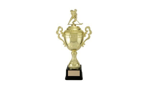 Gold Viceroy Cup: 15-1/4"-107260