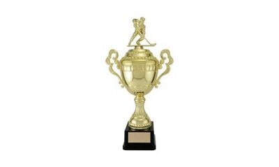 Gold Viceroy Cup: 15-1/4"-107260