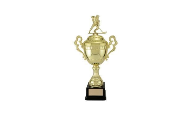 Gold Viceroy Cup: 14-1/4"-107259