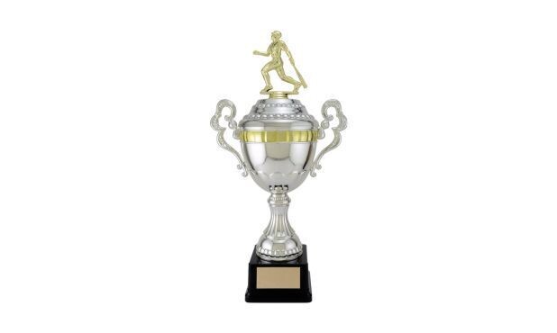 Silver and Gold Viceroy Cup: 15-1/4"-107264