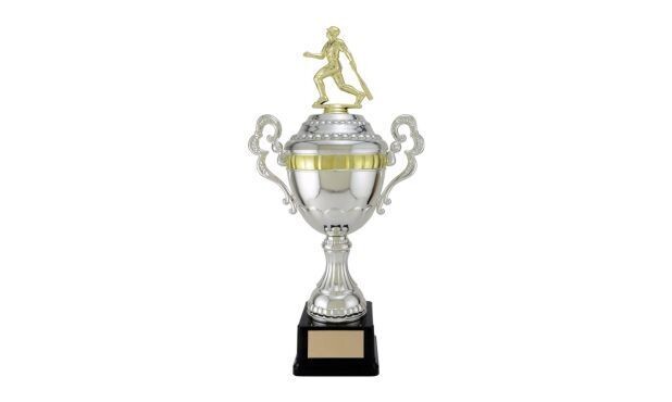Silver and Gold Viceroy Cup: 17"-107265