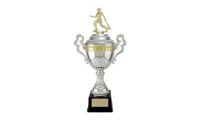 Silver and Gold Viceroy Cup: 17"-107265