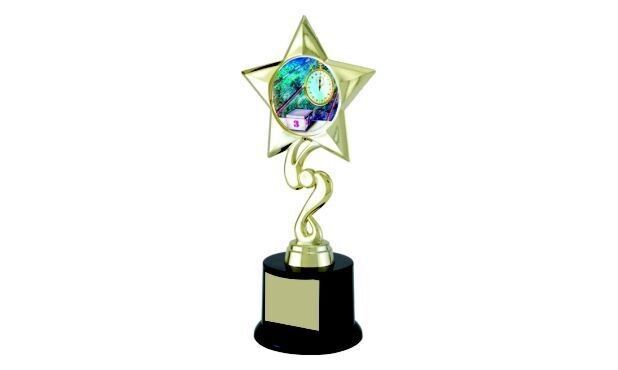 Star Achievement Award with Custom Insert: 8-1/2"-102917