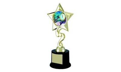 Star Achievement Award with Custom Insert: 8-1/2"-102917