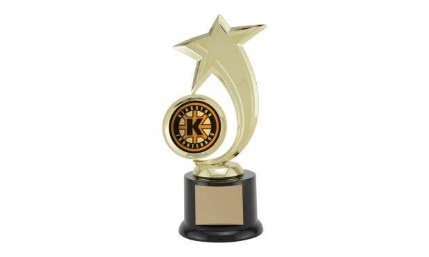 Spinning Achievement Award with Custom Insert: 8"-106931