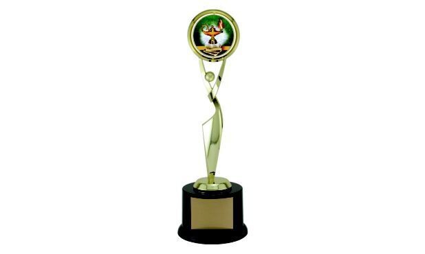 Reach for the Stars Achievement Award with Custom Insert: 11-5/8"-106936