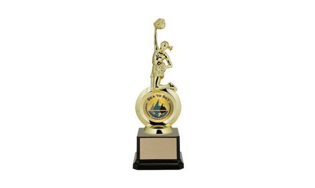First Choice Cheer Trophy with with Custom Insert: 8-1/4"-107233