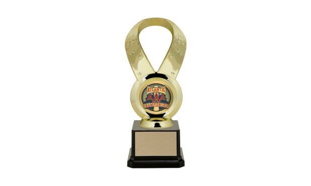 First Choice Victory Ribbon Trophy with Custom Insert: 8-1/4"-107242