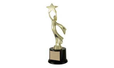 Achievement Trophies