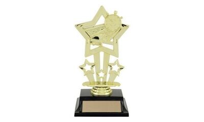 Swimming Trophies
