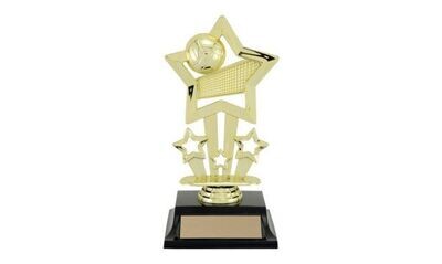 Volleyball Trophies