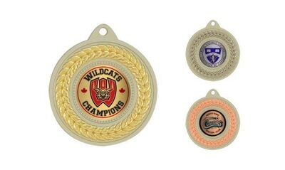 Paragon Universal Insert Medallion: Bright Gold and Matte Silver 2"-107016