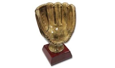 Championship Baseball & Softball