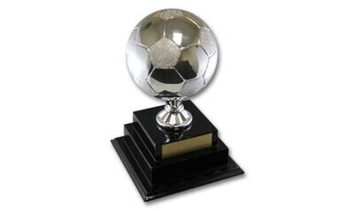 Championship Soccer