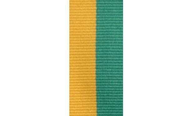 Green & Gold Neck Ribbon-101467