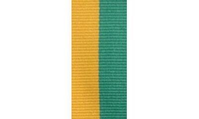 Green & Gold Neck Ribbon-101467