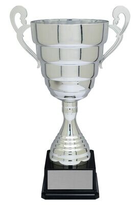 Dupont Series Silver Cup Trophy: 15-1/8"-108165