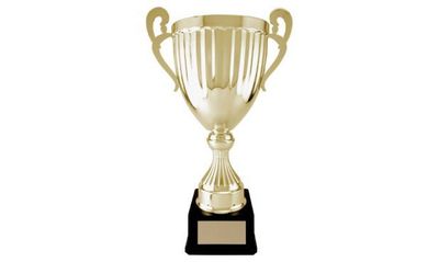 Wakefield Series Gold Cup Trophy: 11-1/8"-106987
