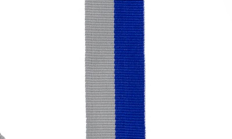 Blue & Grey Neck Ribbon-108396