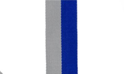 Blue & Grey Neck Ribbon-108396