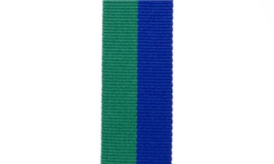 Blue & Green Neck Ribbon-108401