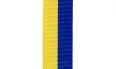 Blue & Yellow Neck Ribbon-108402