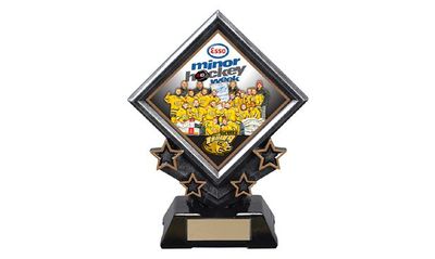 Custom Hybrid Sculptures