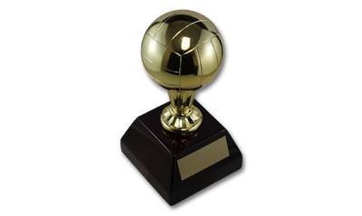 Volleyball Trophies