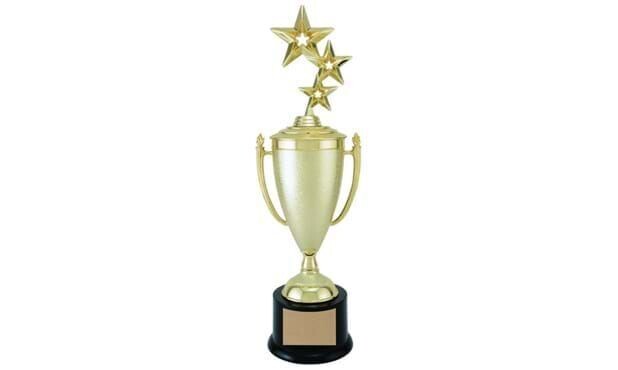 Stipple Value Cup Trophy: 16-1/2"-102003