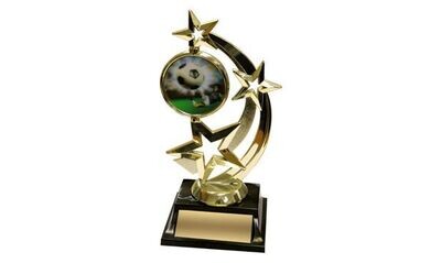 Star Achievement Award with Spinning Custom Insert: 7 Star Achievement Award with Spinning Custom Insert: 7"-102893