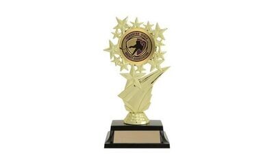 Star Swoosh Trophy with Custom Insert: 7 Star Swoosh Trophy with Custom Insert: 7"-107216