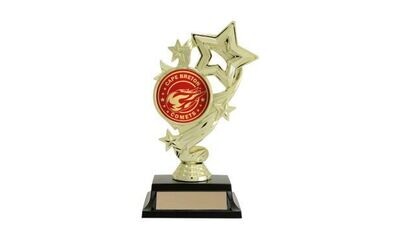 Star Banner Trophy with Custom Insert: 7 Star Banner Trophy with Custom Insert: 7"-107218