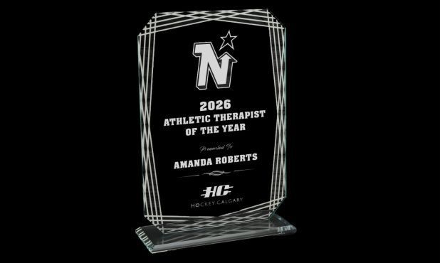 Shimmer Clear Glass Award with Mirror Accents: 8-1/4"-108690