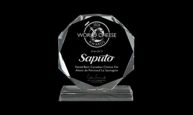 Hemisphere Series Optic Crystal Award: 5-1/2"-108699