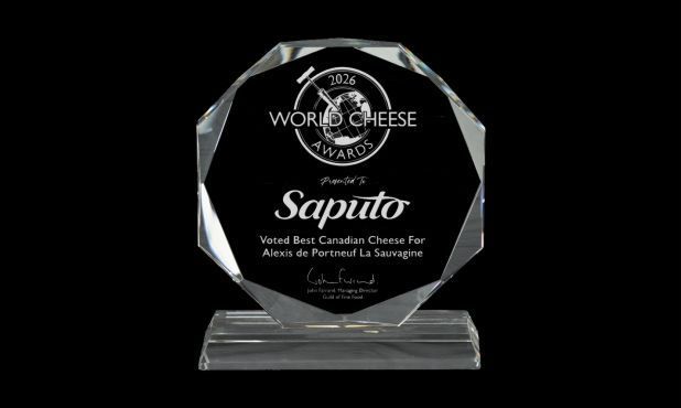 Hemisphere Series Optic Crystal Award: 6-3/4"-108700