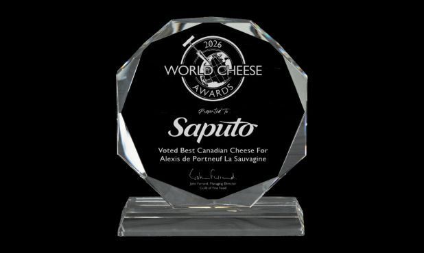 Hemisphere Series Optic Crystal Award: 7-1/8 Hemisphere Series Optic Crystal Award: 7-1/8"-108701