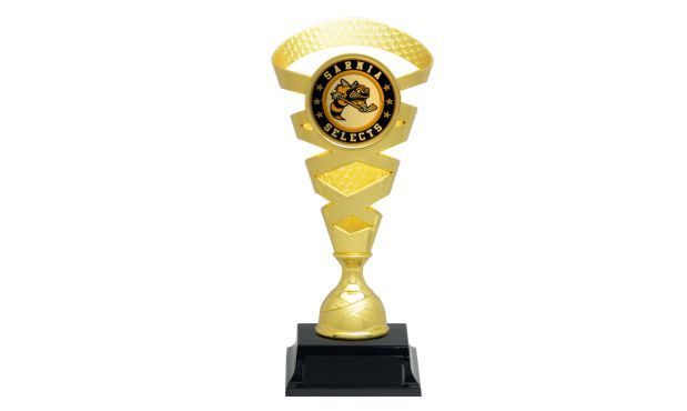 Intrepid Series Gold Trophy with 2 Intrepid Series Gold Trophy with 2" Insert Holder: 8-1/2"-108732