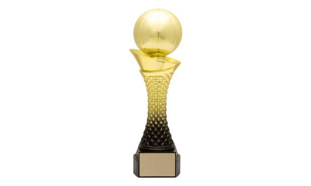 Valour Series Basketball Trophy: 10-3/4"-108717