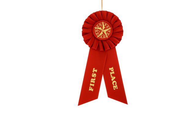 1st Place Rosette-108053 1st Place Rosette-108053