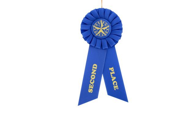 2nd Place Rosette-108054
