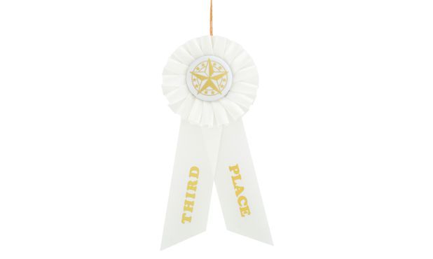 3rd Place Rosette-108055