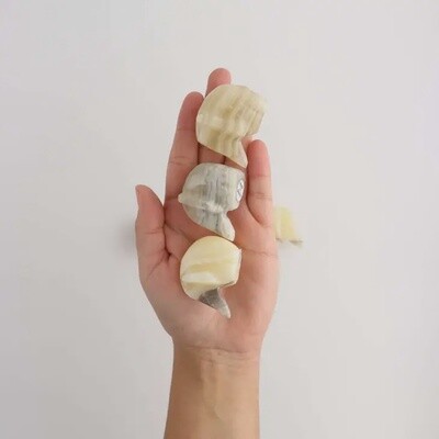 Onyx Elephant