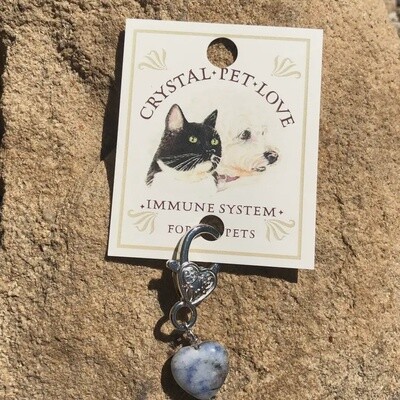 Sodalite heart immune support pet pendant