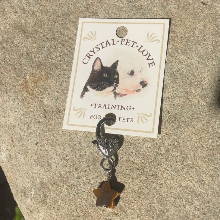 Tiger&#39;s Eye Star Pet Pendant